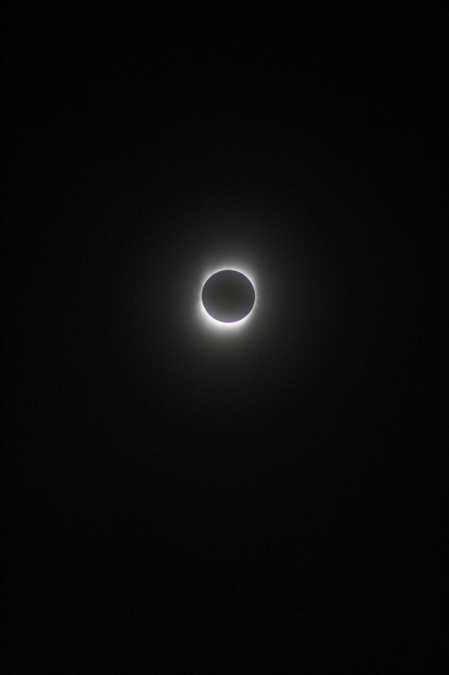 09049223s