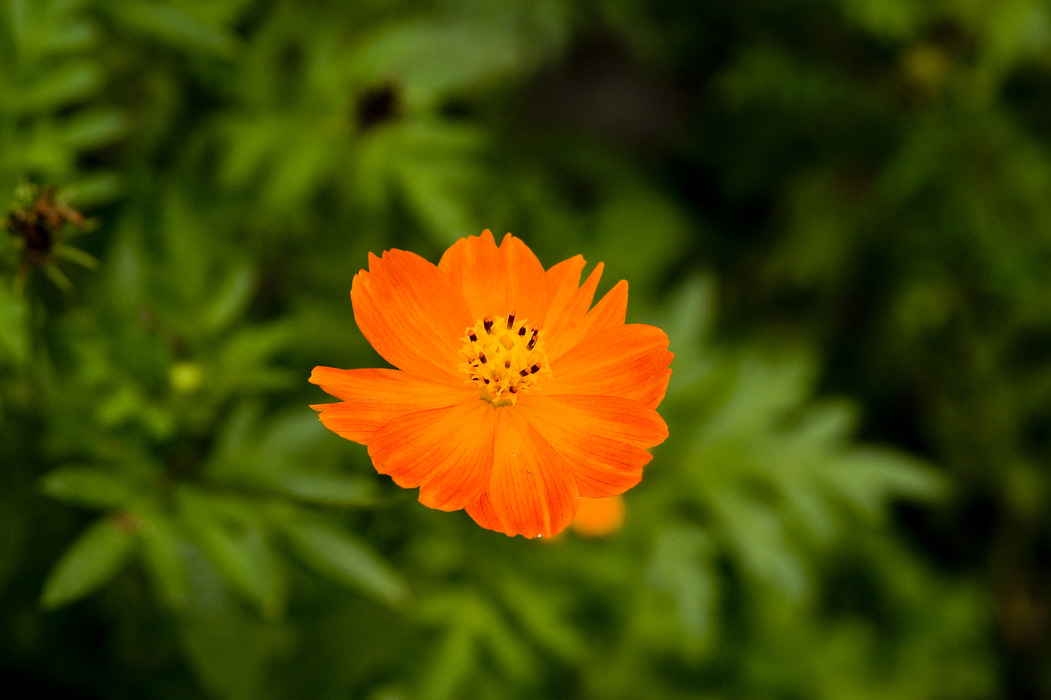 _DSC9857
